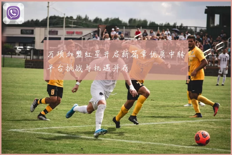 万项加盟红星开启新篇章优质中转平台挑战与机遇并存