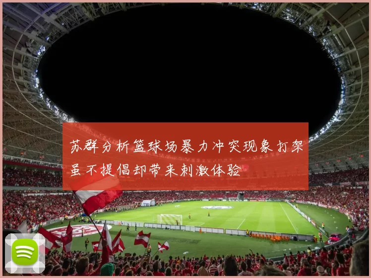 苏群分析篮球场暴力冲突现象打架虽不提倡却带来刺激体验