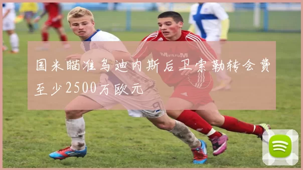 国米瞄准乌迪内斯后卫索勒转会费至少2500万欧元